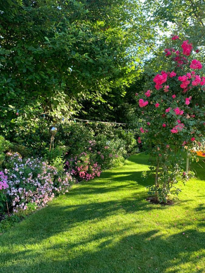 Pension Löew Solingen Extérieur photo