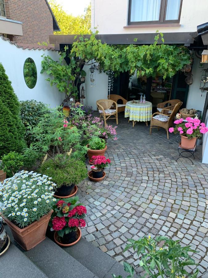 Pension Löew Solingen Extérieur photo
